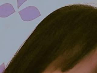 lily 9900