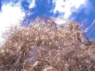 LittleFreya9