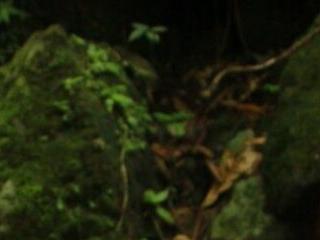 LITTLESUSSYY 