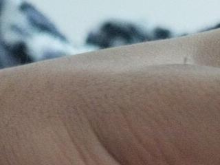 lucas17cm-
