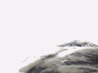 lunay bigcock420