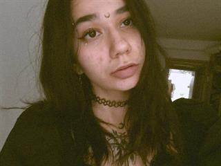 Lunel kitten