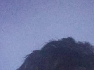 mikecoper 23