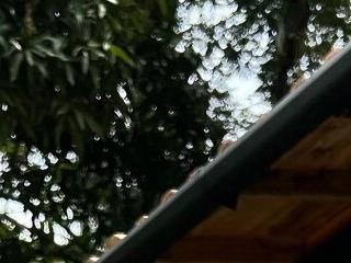 milaivanova