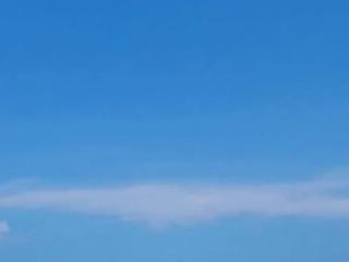 Milu04 