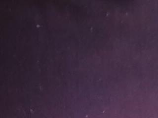 Monica 5080