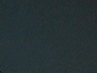 Moon  Love
