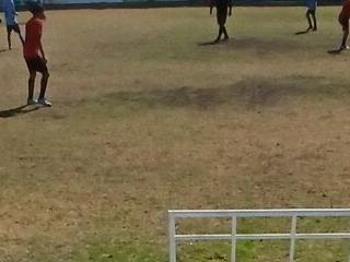 PaMPInO 20