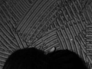 parla 
