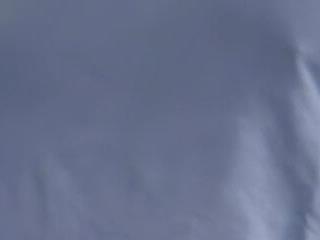 Piefke41