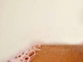 PrincessMelxx