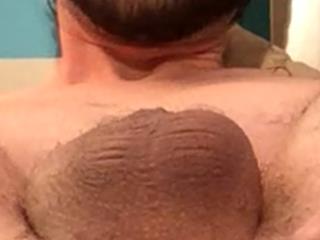 Prolapse Pig