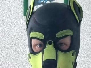 puppy tomik