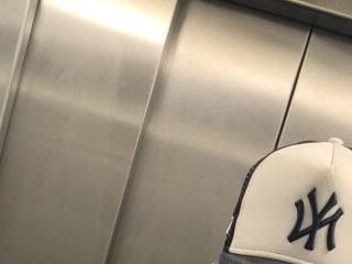 purofuego6