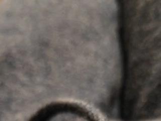 ram5552 Profile Picture