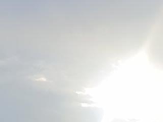 Redhaire-litlle-lil bitch