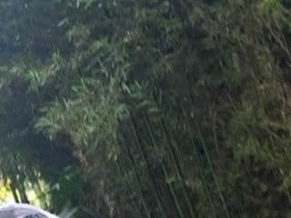 RioStarkx