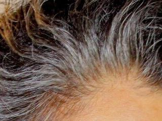 RousseGil