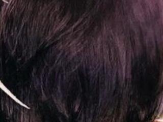 S andra 