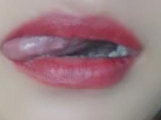 Sabella13