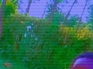 Seeexxxy-bree
