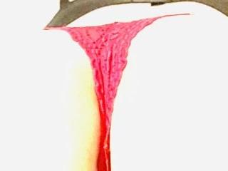sexy tettona