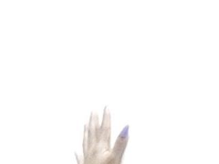 SEXYASSTINAXXX