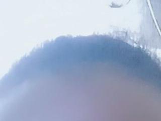sexybree 