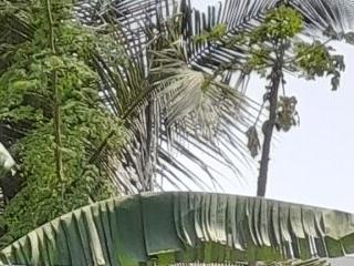 Sithuminibhabi