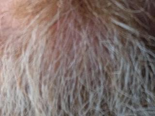 sizableunicorn7