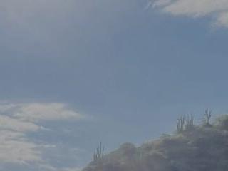 Sofia444-