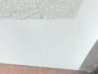 Stephy 