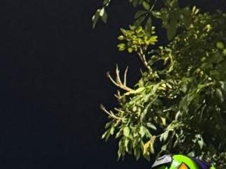 StevenLove89