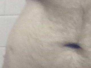 sub slave indi