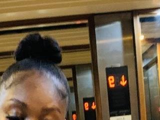 sushi bear