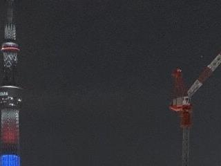 tai0202