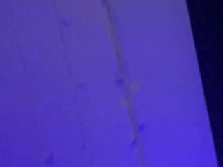 TheSpookyRoom