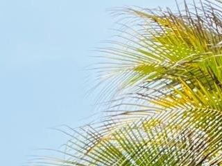 tucolombianapapi
