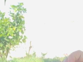 urbigcockbaby