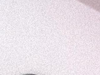 Vanessa-17 