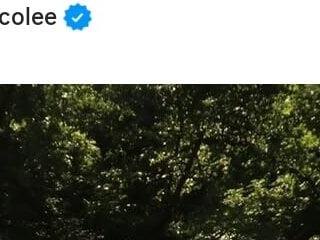 Vezettii