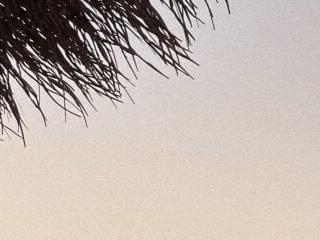 viki sky