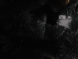 Vikki wyye