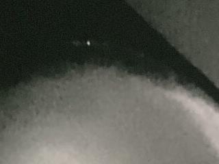 whiteuncut