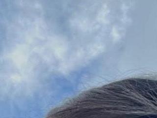 xianglove