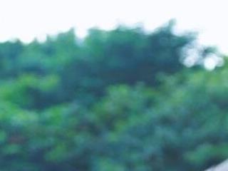 YIZHI Koala