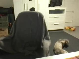 Your Saviour litterally