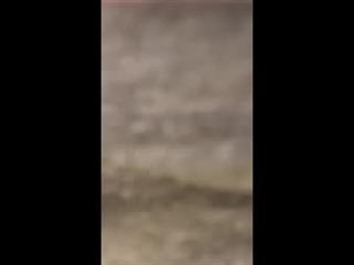 gazg1984 Profile Picture