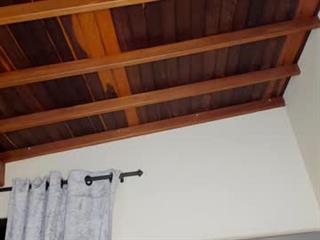 hope daily Profile Picture