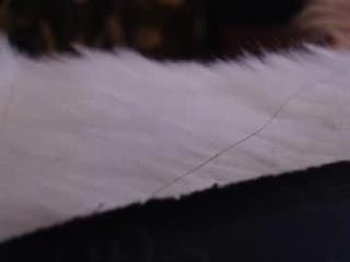 Lily Profile Picture
